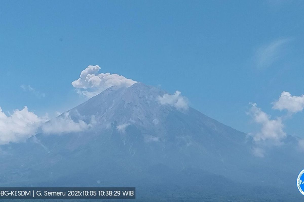 Gunung Semeru empat kali erupsi pada Minggu