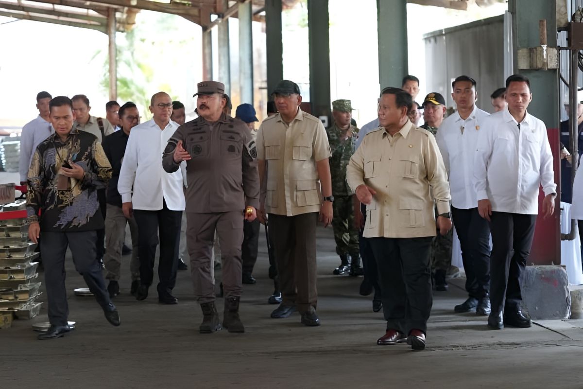 Satgas PKH kuasai kembali 5.209 hektare lahan tambang ilegal