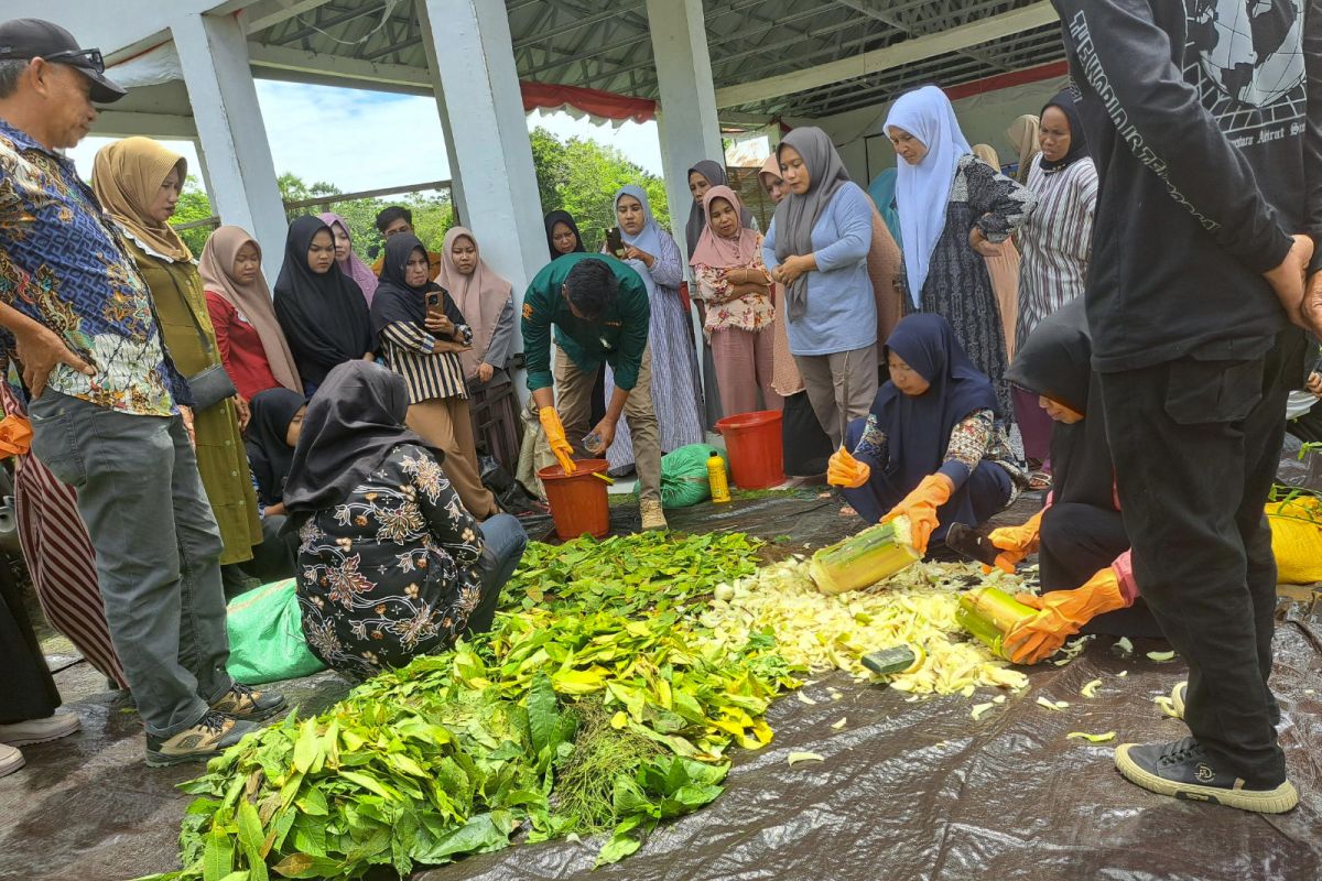Pemkab Bone-ICRAF perkuat ketahanan pangan dengan tanaman pekarangan