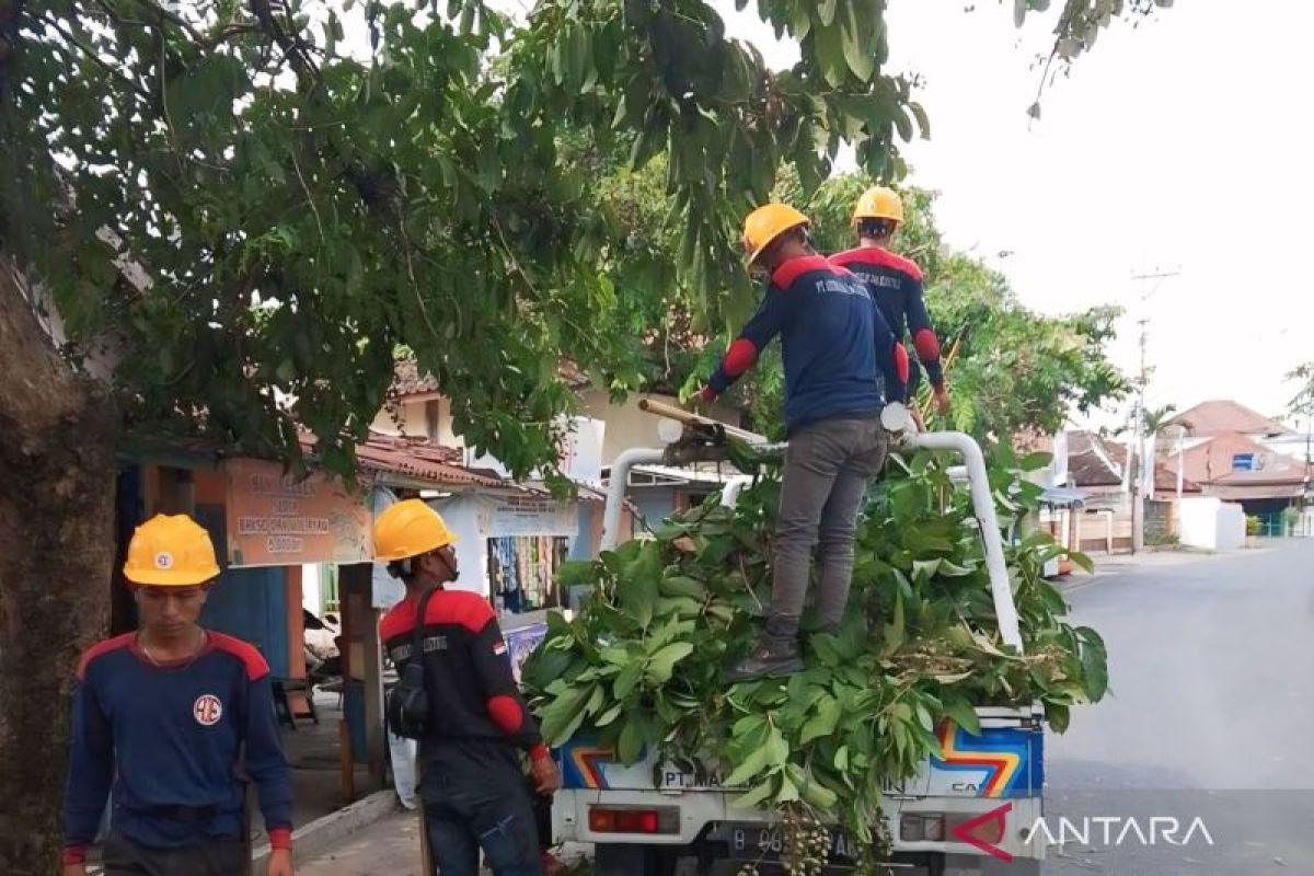 PLN ULP Baturaja jaga  keandalan tenaga listrik saat musim hujan
