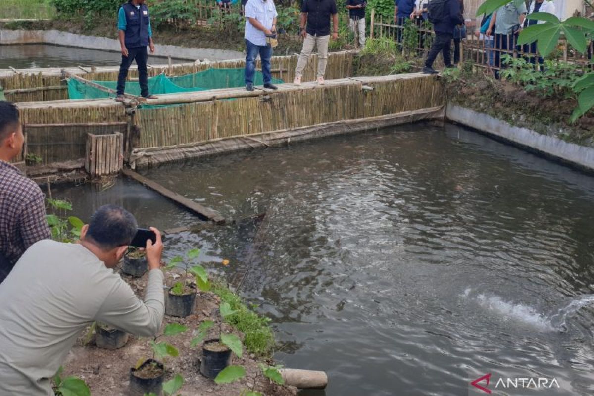 Kabupaten Banyuasin manfaatkan potensi perikanan budi daya