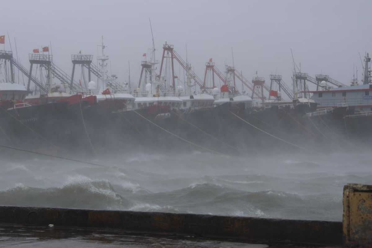 Topan Matmo mendarat di Guangdong China