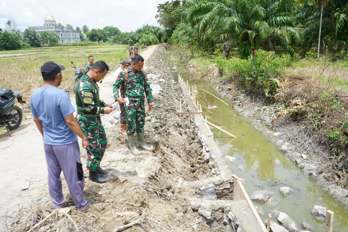 Kodam IM optimasi 1.229 hektare lahan pertanian di Aceh