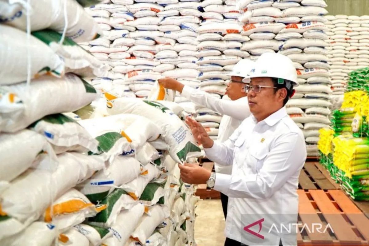 Govt to reprocess 29.99 thousand tons of rice to improve quality