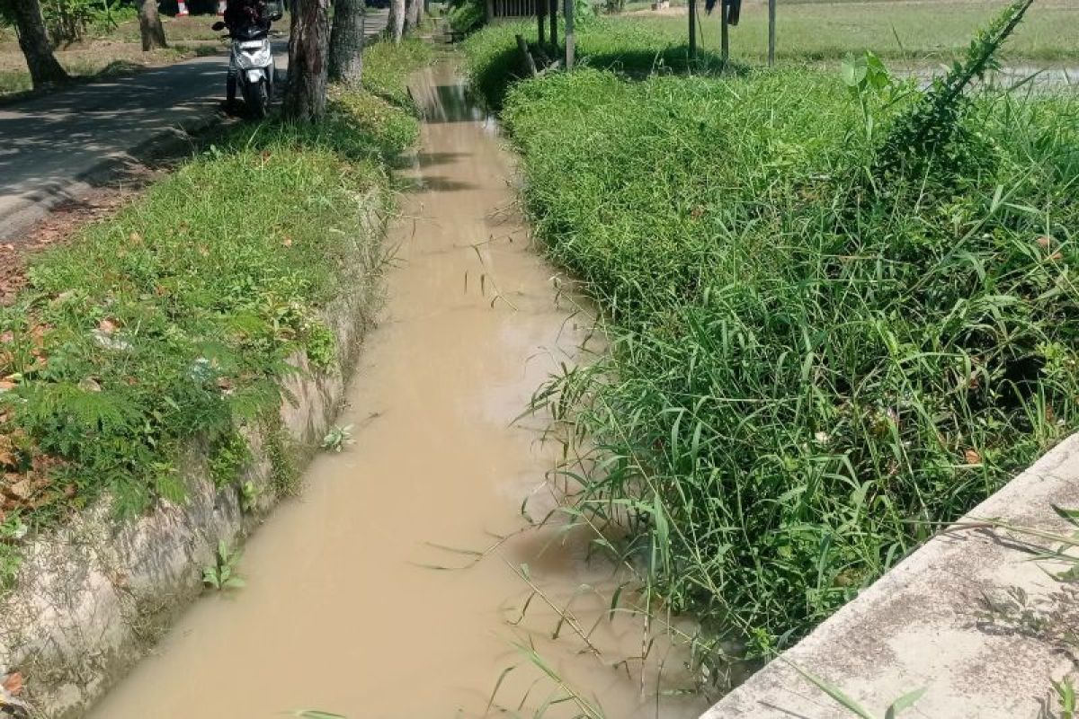 Pemkab Lebak dukung perbaikan daerah irigasi untuk swasembada pangan