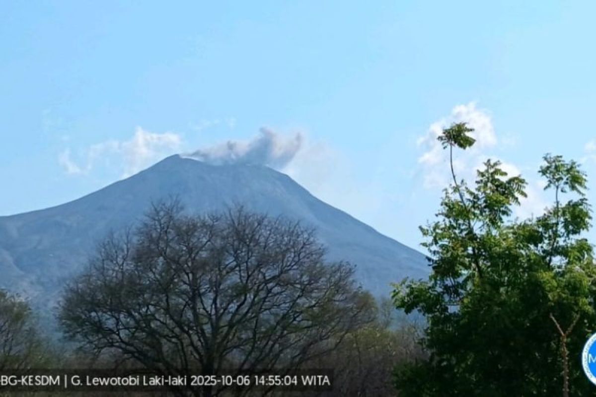 Gunung Lewotobi Laki-laki kembali alami erupsi hingga 300 meter