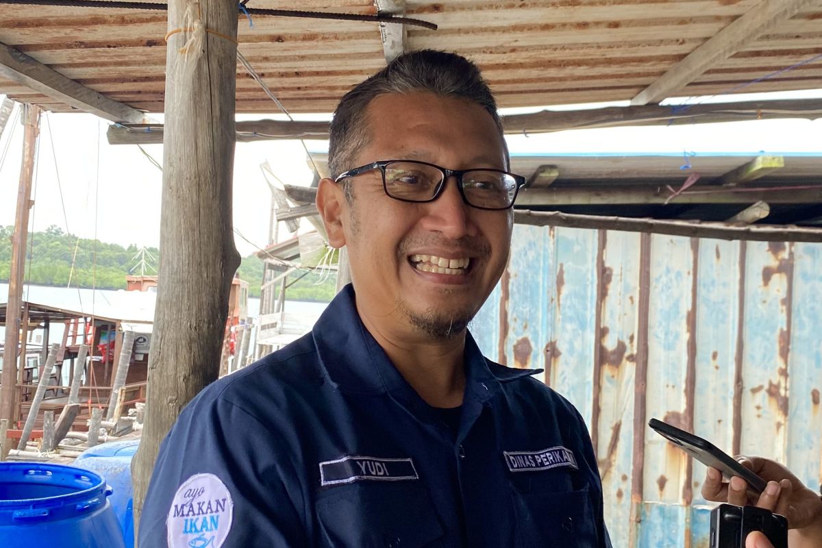 Pemkot Batam: Produksi bulanan budidaya ikan lele Januari hingga Agustus naik