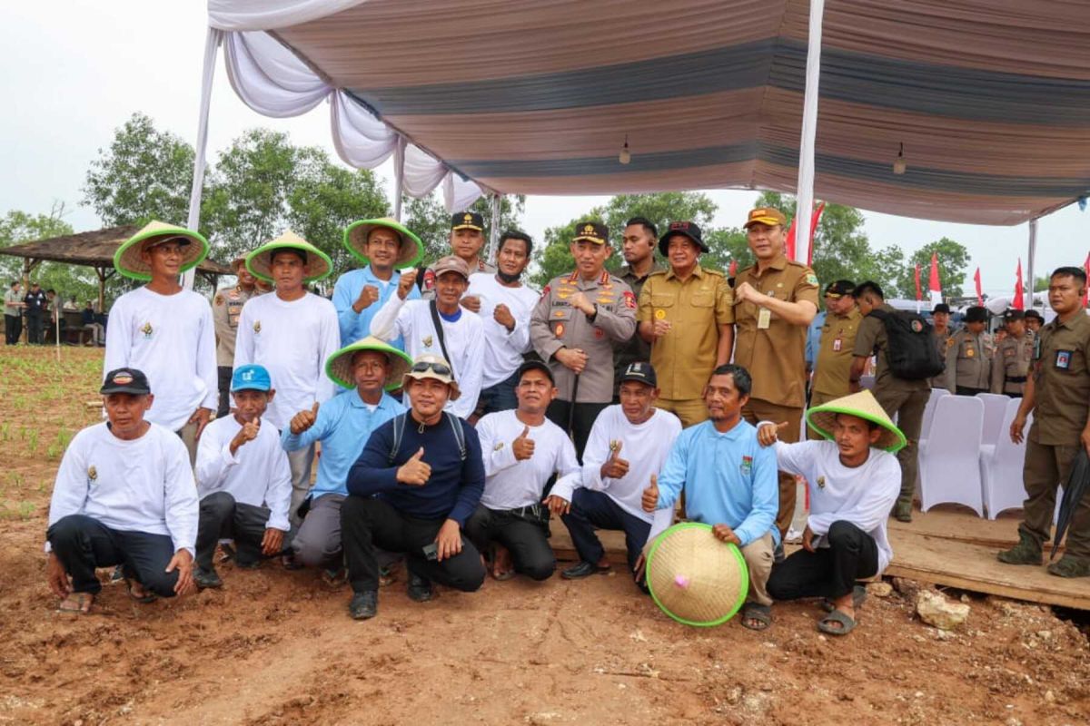 Pemprov Banten optimalkan lahan tidur dukung program ketahanan pangan