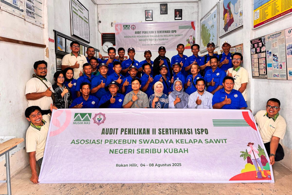 Musim Mas dukung pemerintah percepat ISPO pada perkebunan swadaya