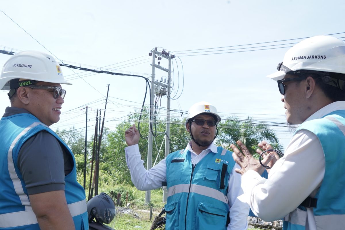 PLN pastikan keandalan listrik untuk dorong pertumbuhan ekonomi Kalteng
