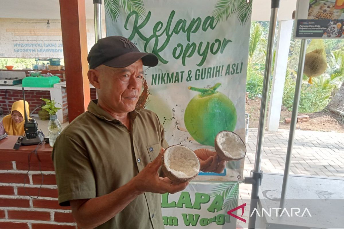 Bantul DIY kembangkan sentra budidaya kelapa kopyor di Desa Jatimulyo