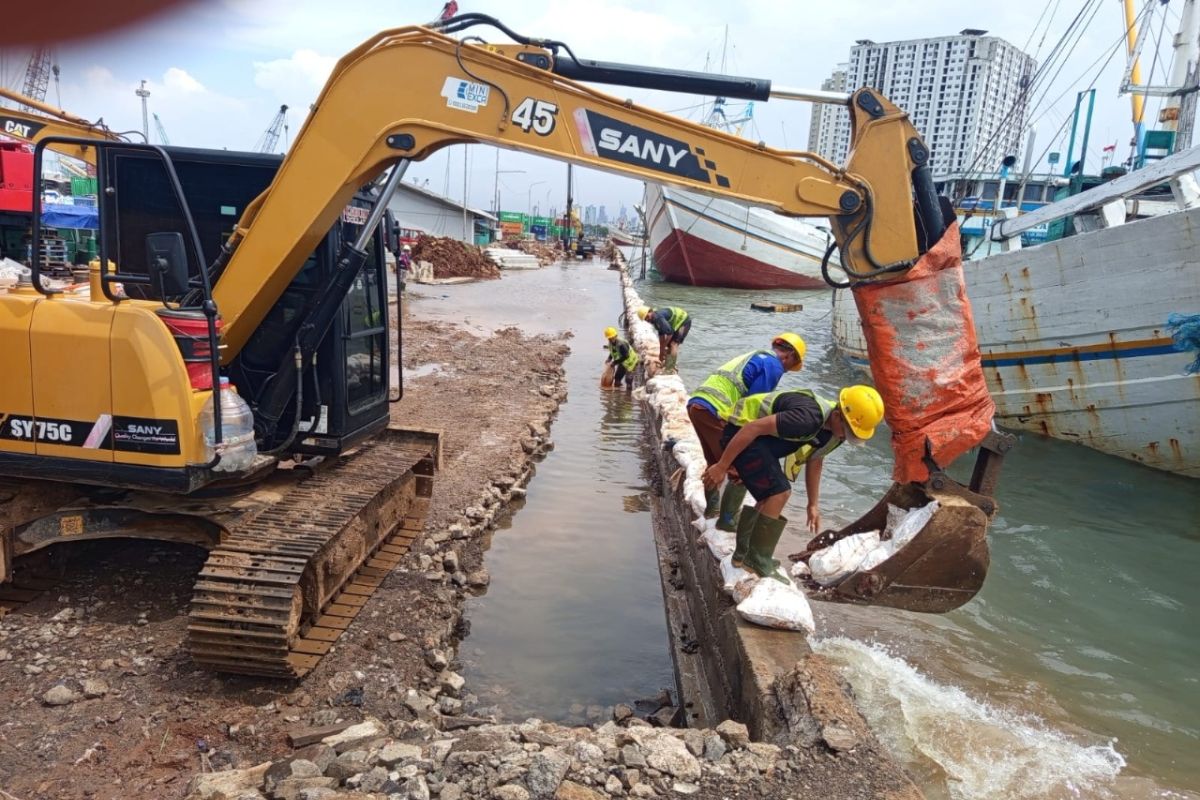 Pelindo Sunda Kelapa siagakan alat berat untuk antisipasi banjir rob