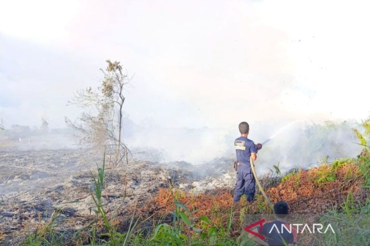 BPBD: Luas kebakaran lahan di Aceh Barat bertambah menjadi 1,1 Ha