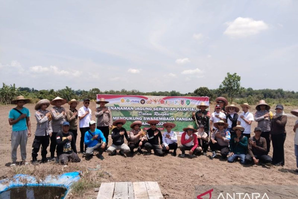 Polsek Tapin Utara tanam jagung guna dukung ketahanan pangan