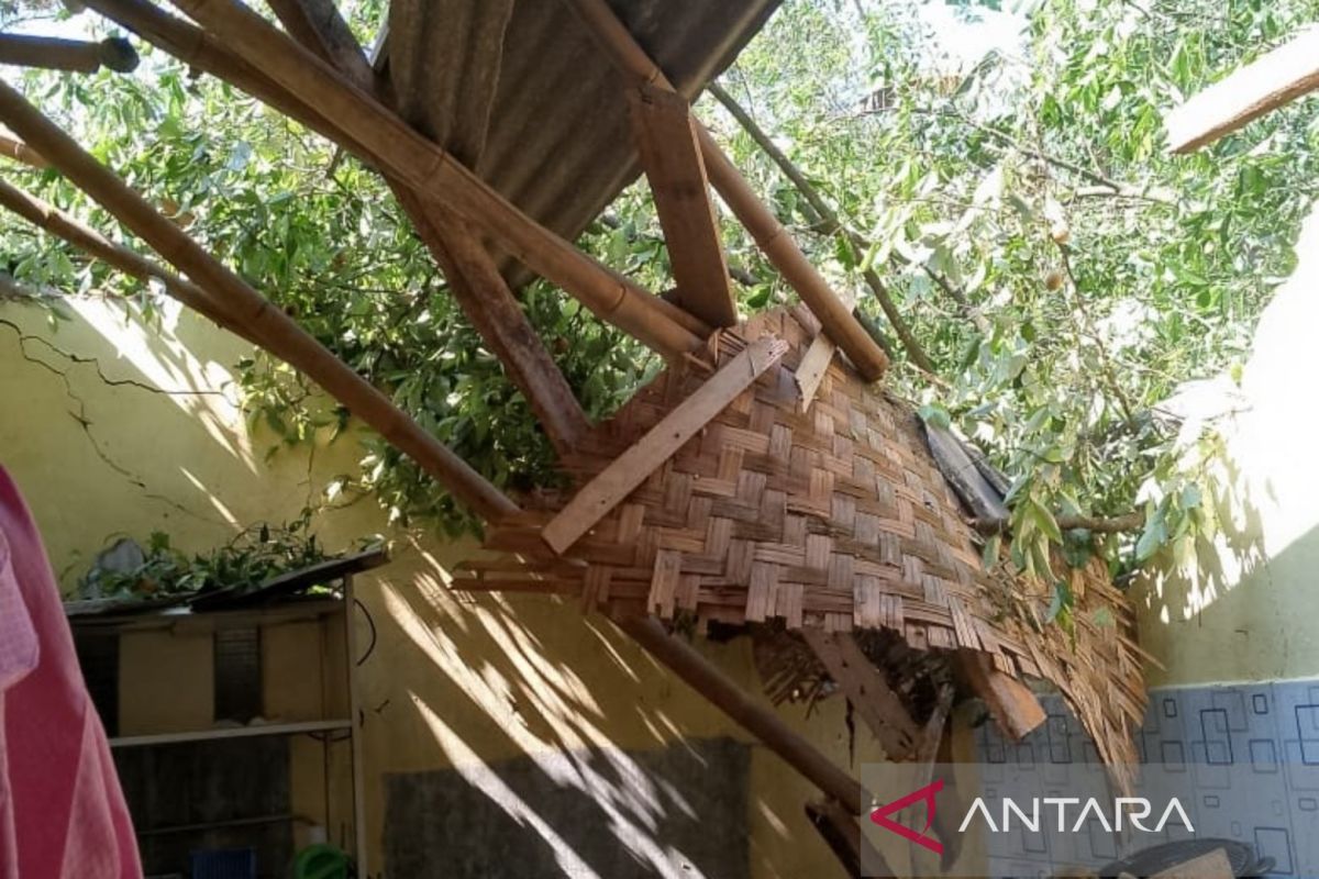 BNPB: Korban angin kencang di Bandung dilarikan ke rumah sakit