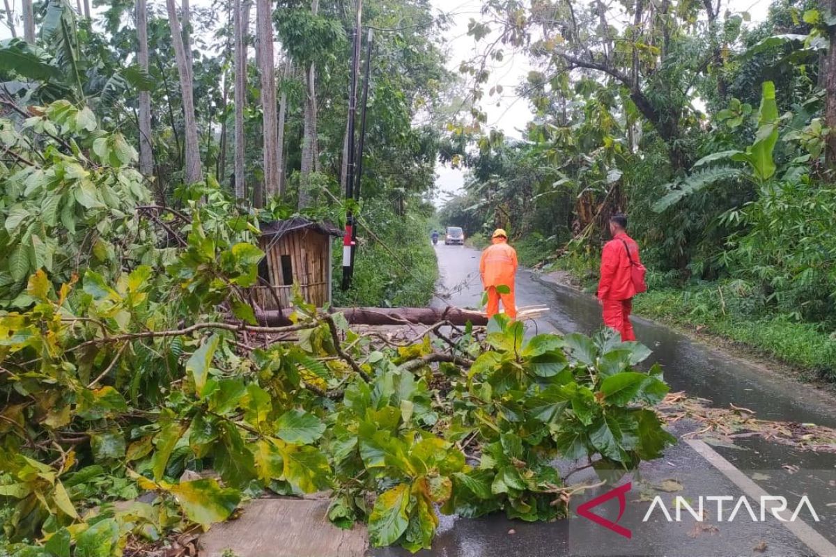 BNPB pastikan korban angin kencang di Jember dapat bantuan