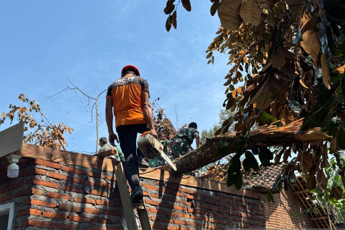 BNPB: Tim gabungan dampingi pemulihan dampak bencana di Gowa