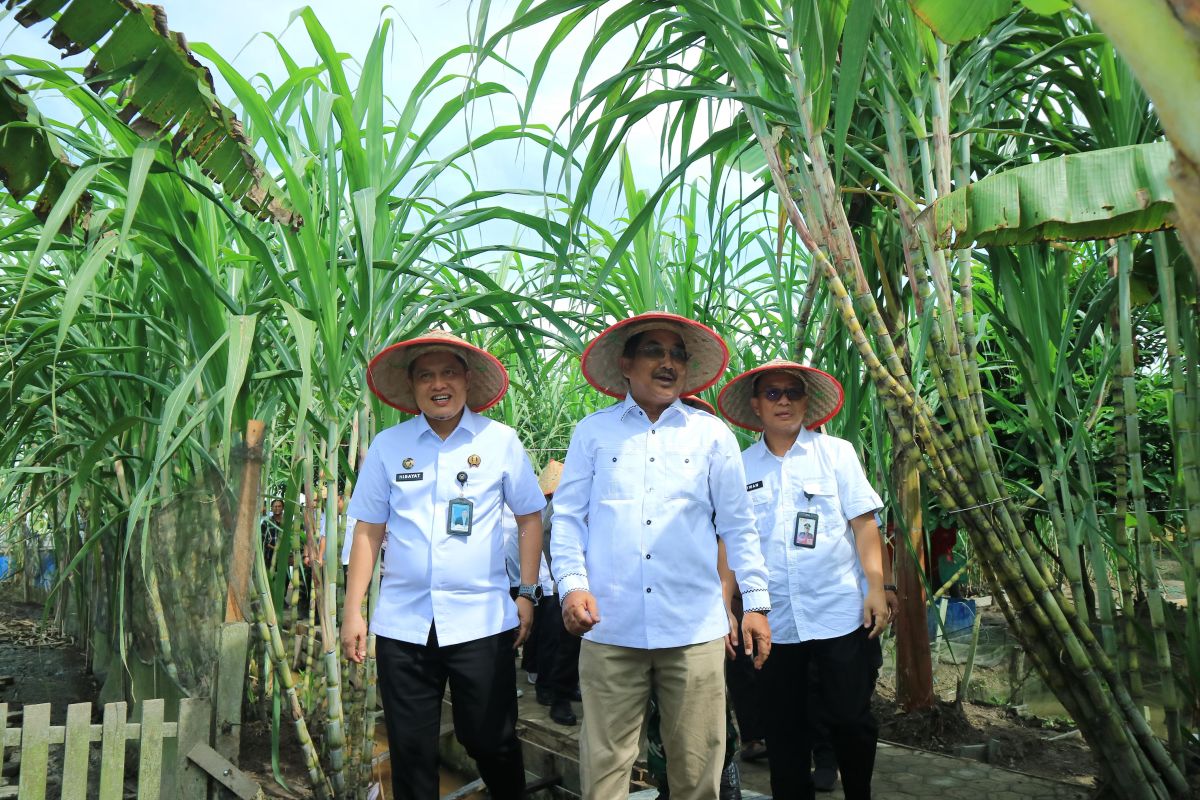 Ditjenpas Jambi dan Pemda Tanjabbar kembangkan ketahanan pangan Lapas