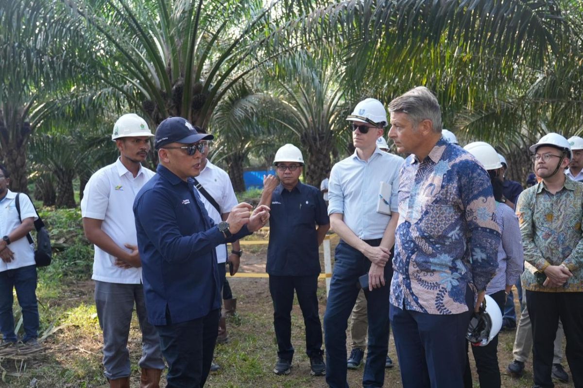 PTPN IV wujudkan industri sawit berkelanjutan