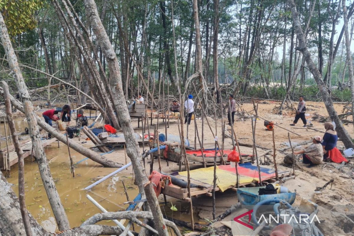 Warga Babel memilih menambang timah legal ramah lingkungan