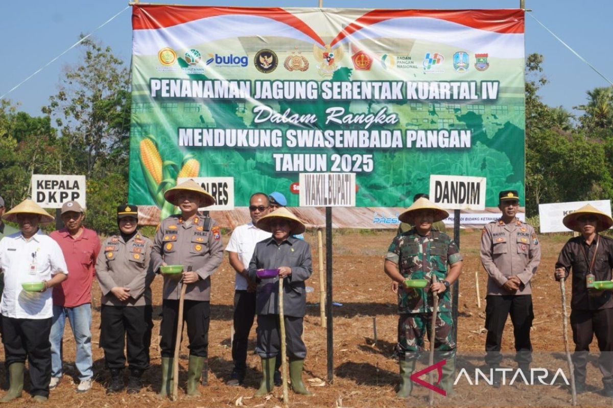 Kodim-Pemkab Sumenep melakukan gerakan tanam jagung serentak
