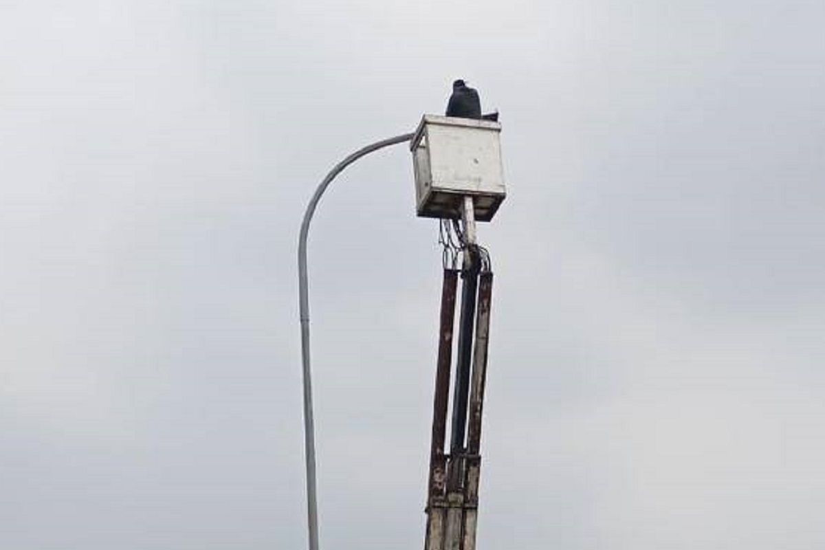 Pemkot Tangerang tambah 414 titik PJU di area publik