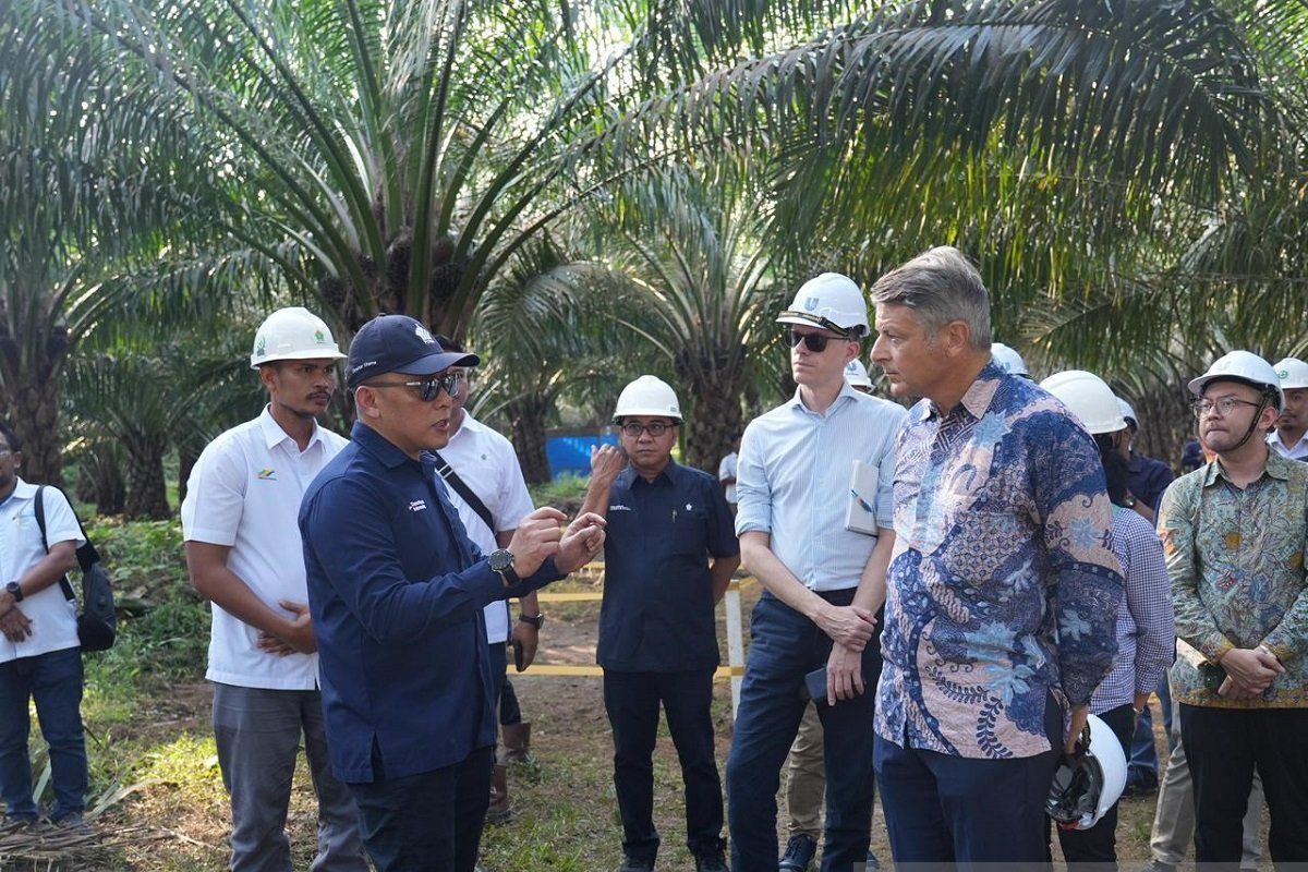 Dubes Uni Eropa Puji Langkah PTPN IV PalmCo Dorong Sawit Berkelanjutan di Indonesia