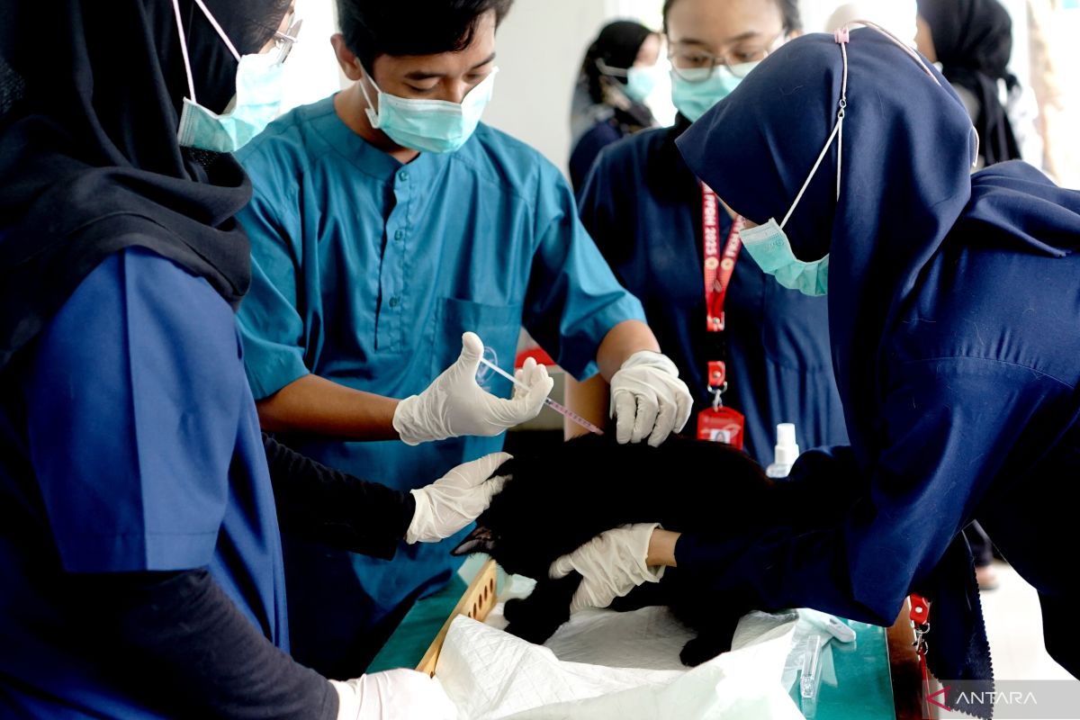 Tulungagung gelar vaksinasi rabies gratis