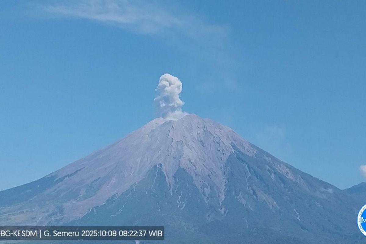 Semeru erupsi dengan tinggi letusan 700 meter di atas puncak