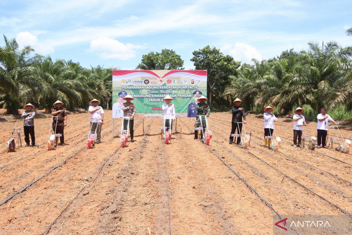Polres Banyuasin tanam jagung di lahan seluas 1,5 hektare
