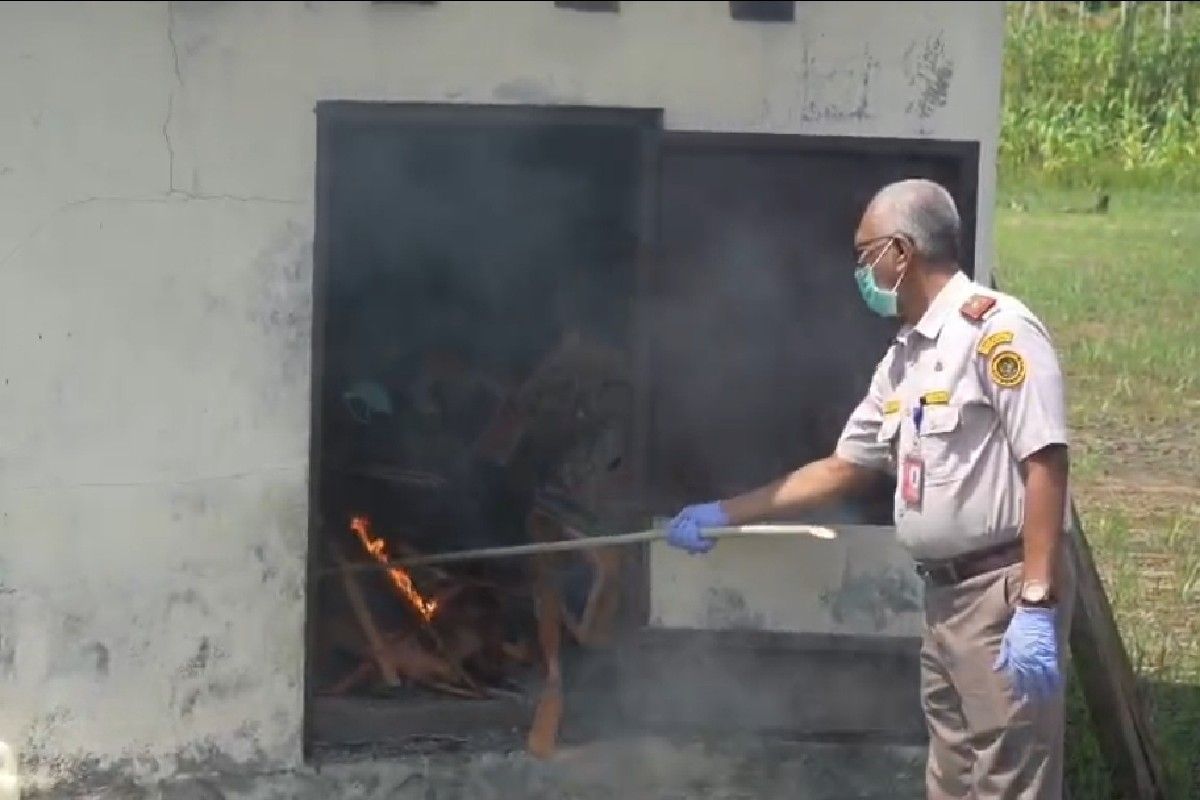 Karantina Papua musnahkan ayam tanpa sertifikat cegah penyakit