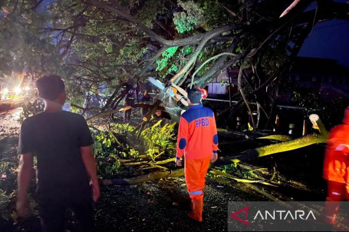 BPBD Lamongan imbau warga waspada cuaca ekstrem pasca angin kencang