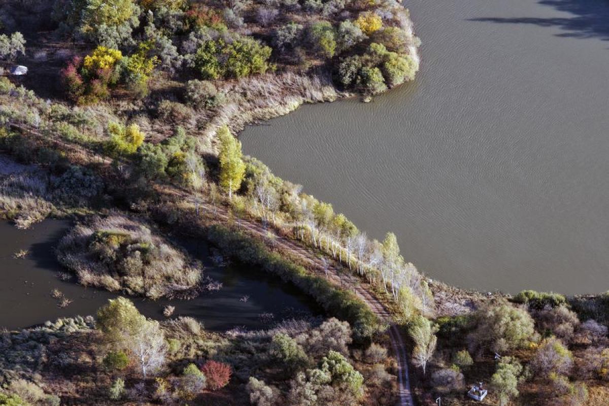 Menikmati pemandangan musim gugur di taman lahan basah China