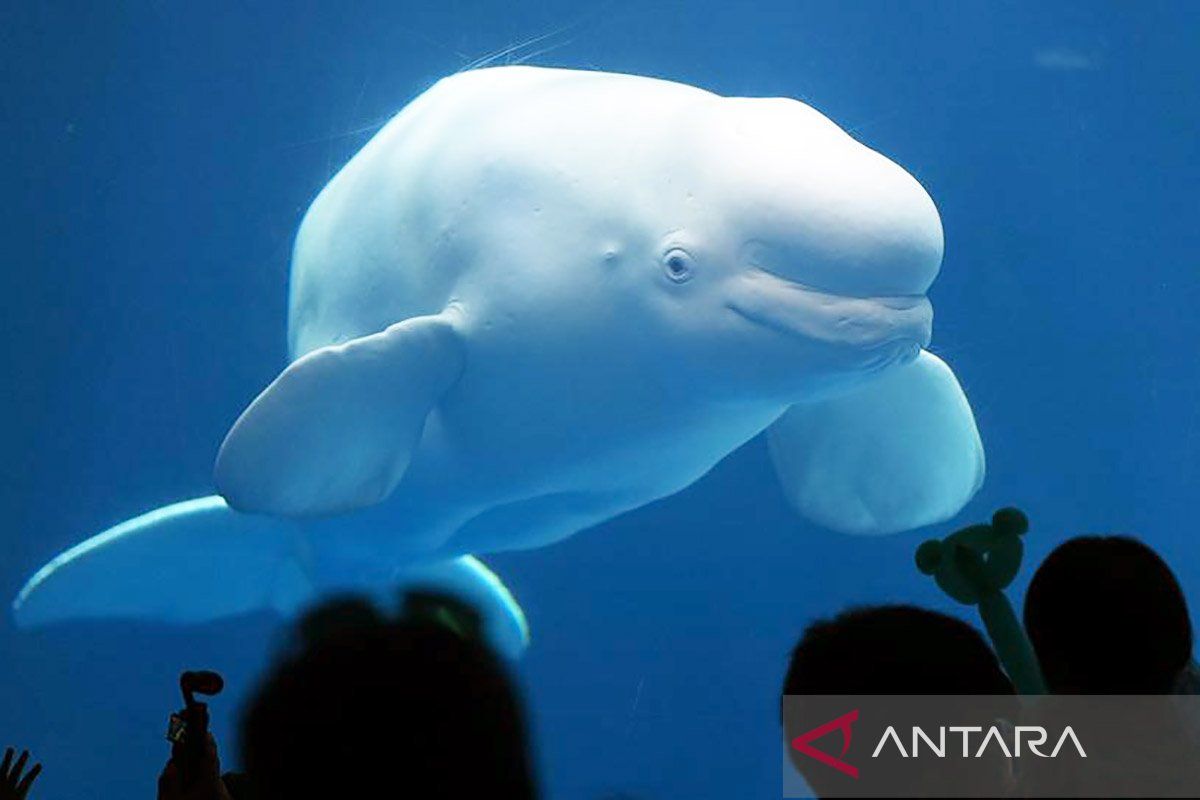 China gunakan model bahasa protein AI ungkap misteri evolusi kehidupan