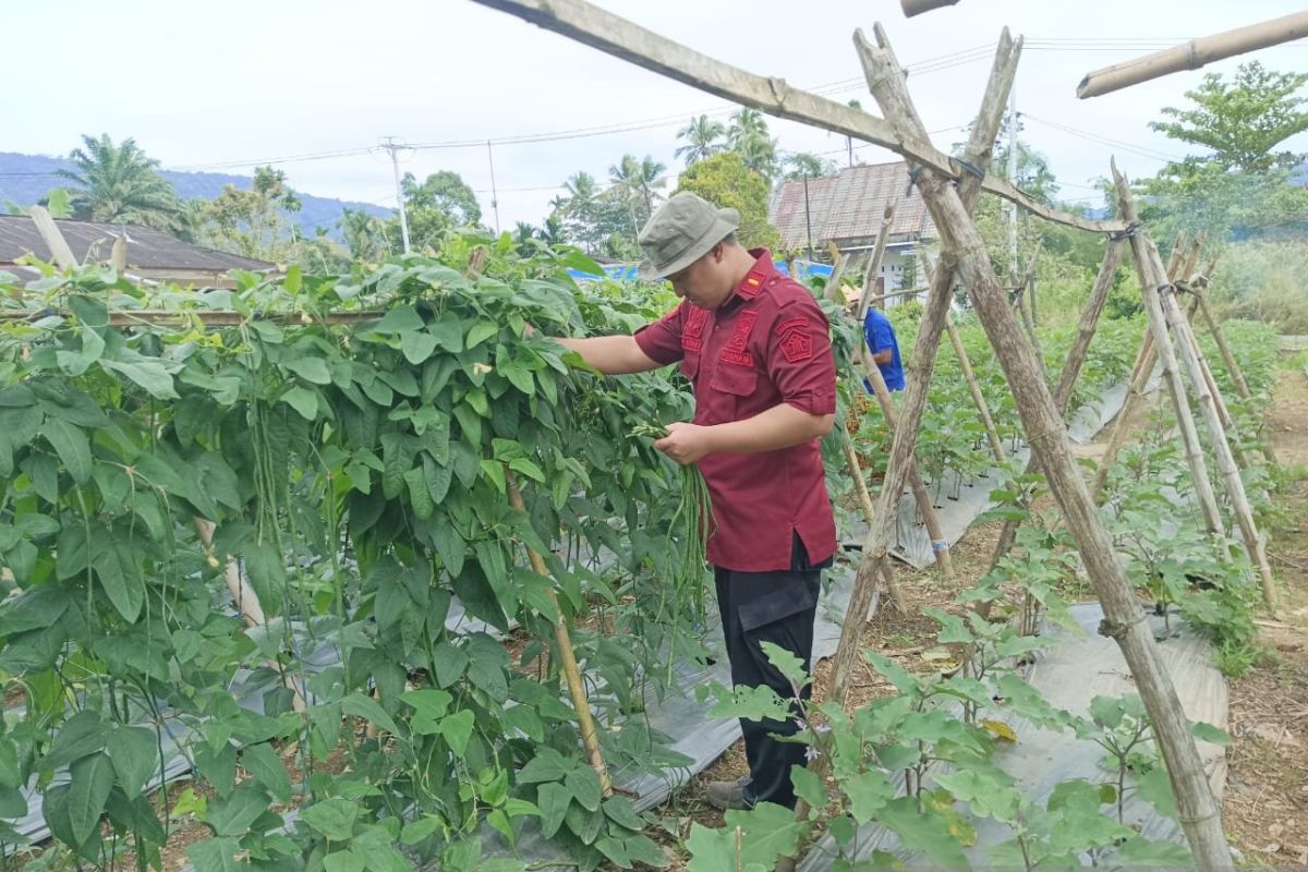 Lapas Talu panen program ketahanan pangan upaya pembinaan kemandirian warga binaan