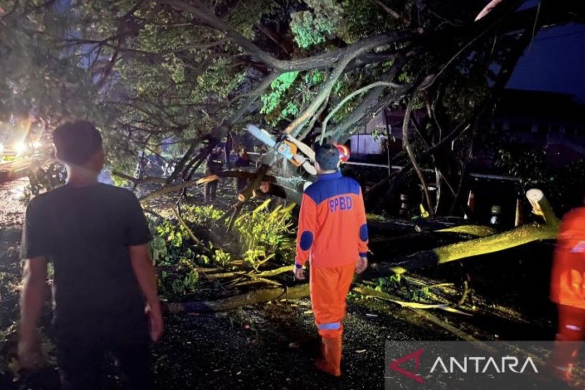 BPBD: Waspada potensi cuaca ekstrem di Lamongan