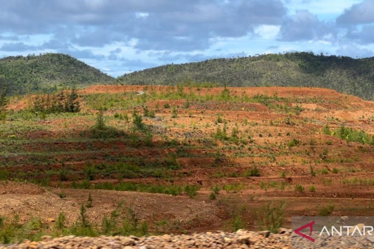 Hidup di tanah surga bertabur nikel