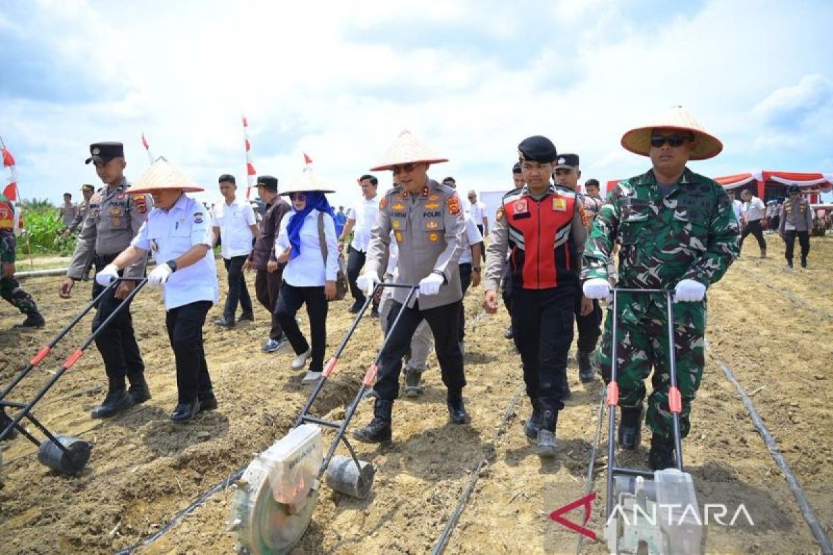 PT Brahma Binabakti mendukung penuh ketahanan pangan nasional di Provinsi Jambi