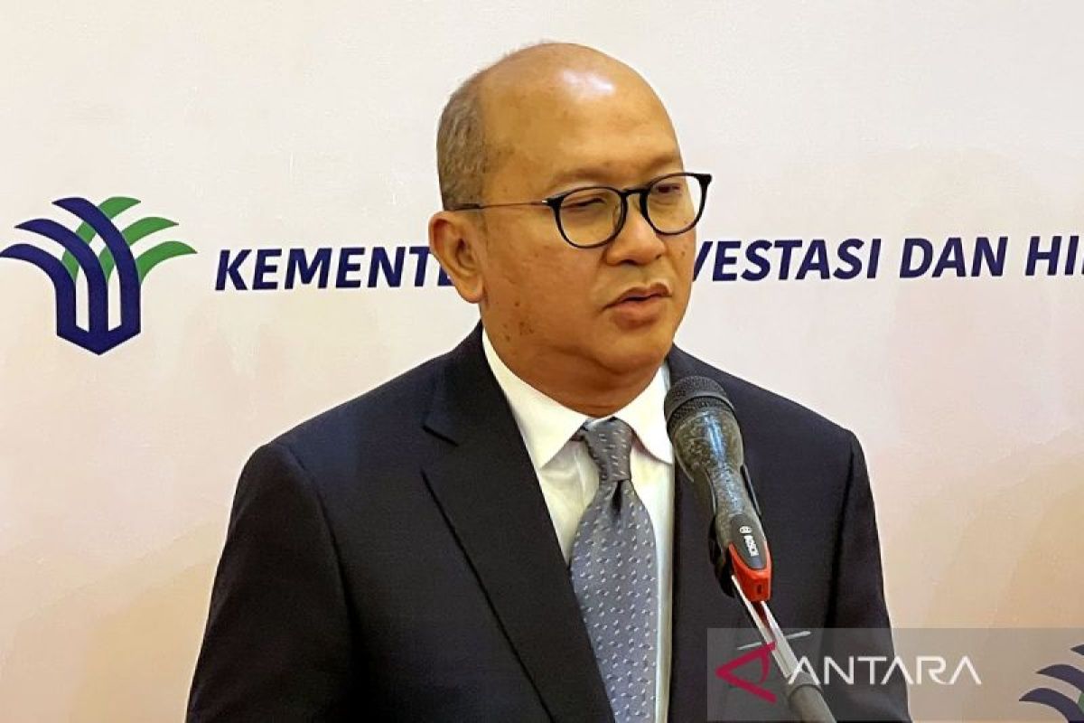 Rosan: Ekspatriat di Garuda untuk perkuat transformasi dan teknologi
