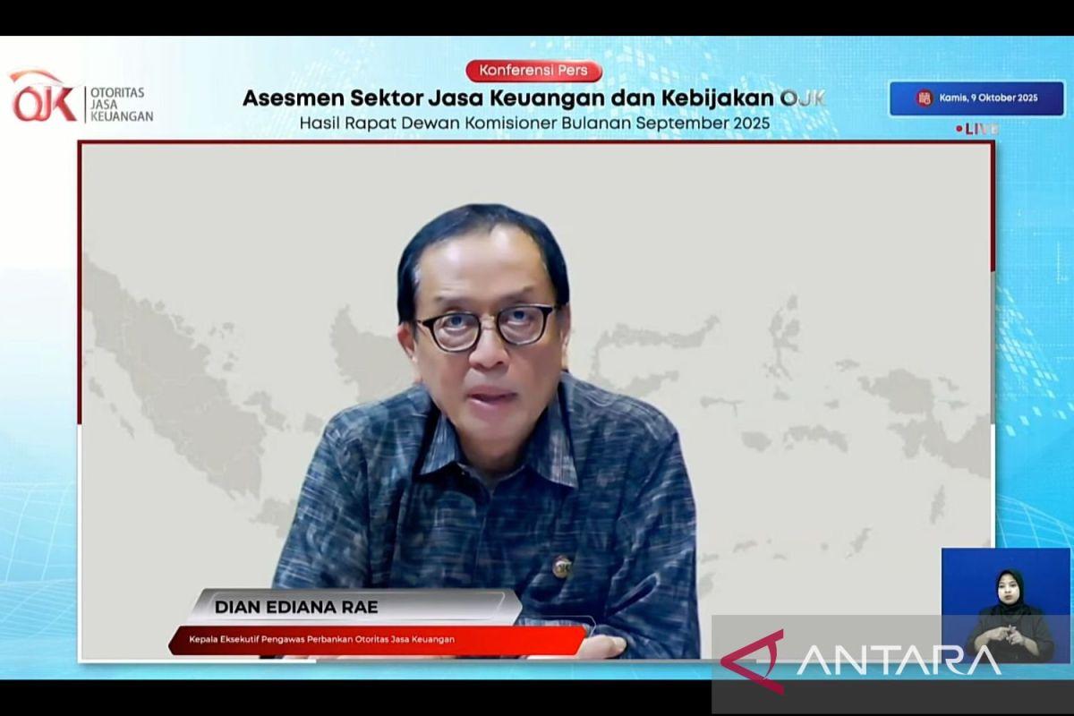 OJK nilai wacana injeksi dana pemerintah ke BPD positif bagi daerah