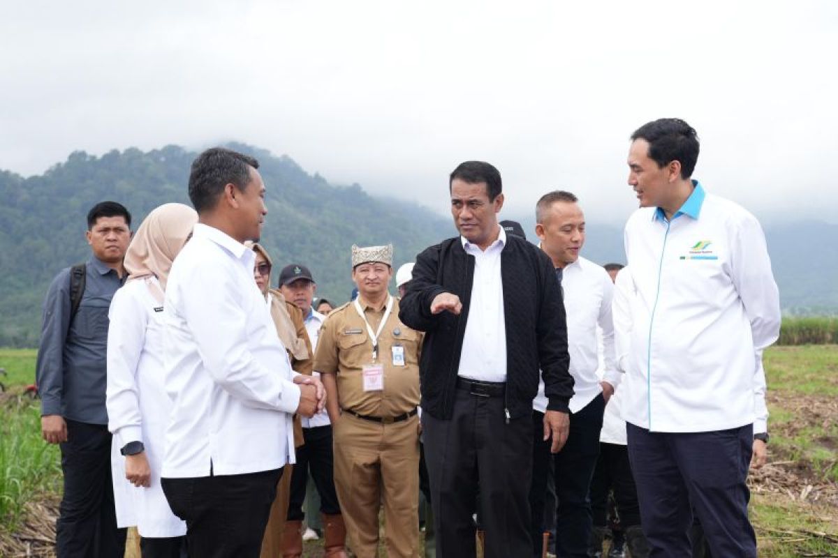 Mentan targetkan bongkar ratoon capai 80.053 hektare di Jawa