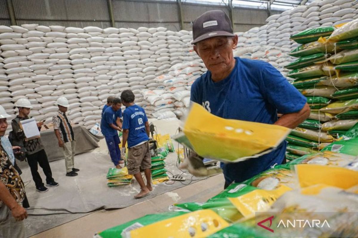 Persepsi tentang beras Bulog