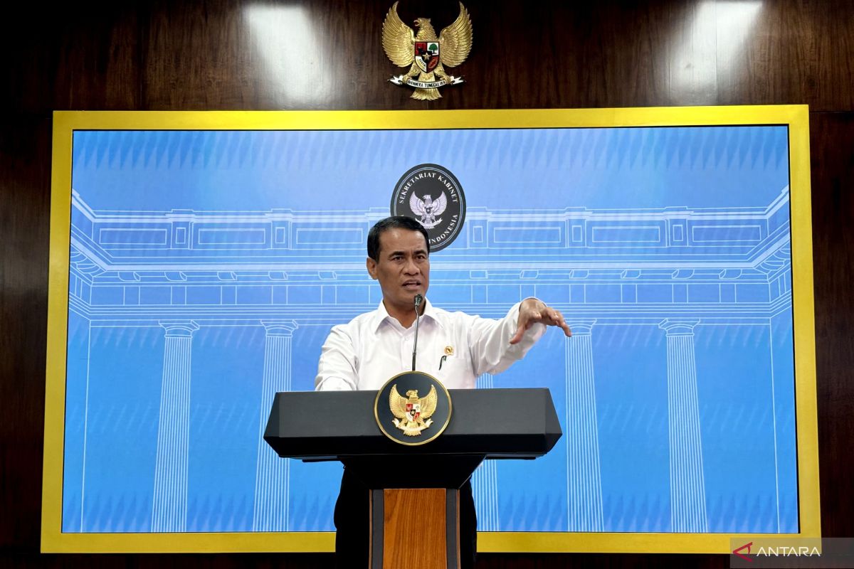 Govt to halt raw coconut exports, pushes downstreaming initiative