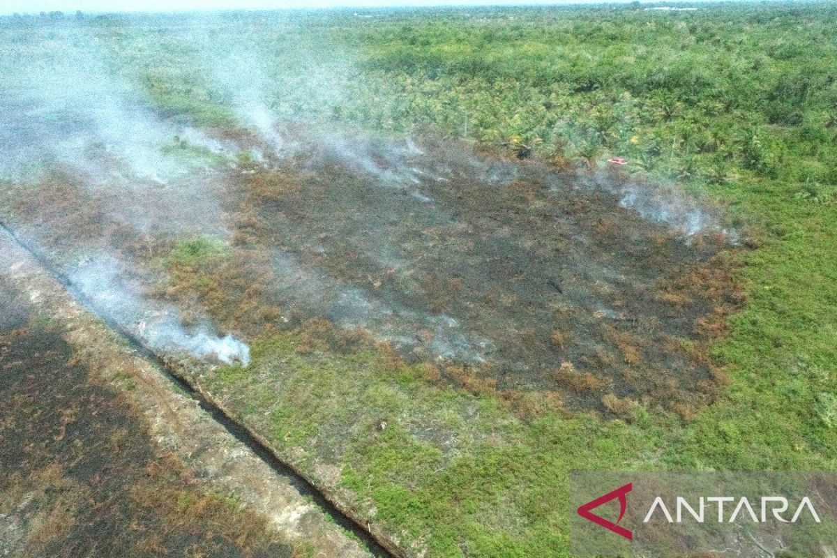 BPBD: Kebakaran lahan di Aceh Barat meluas menjadi 2,3 Ha