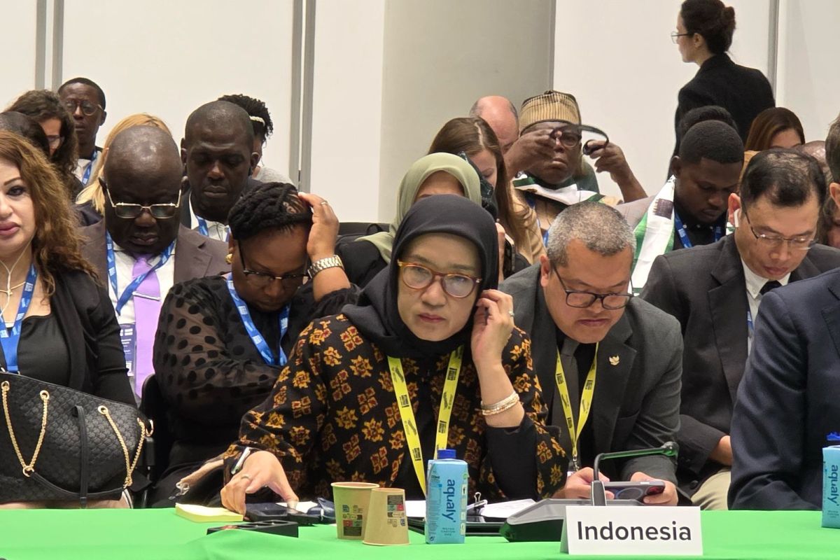 Understanding Digital Governance