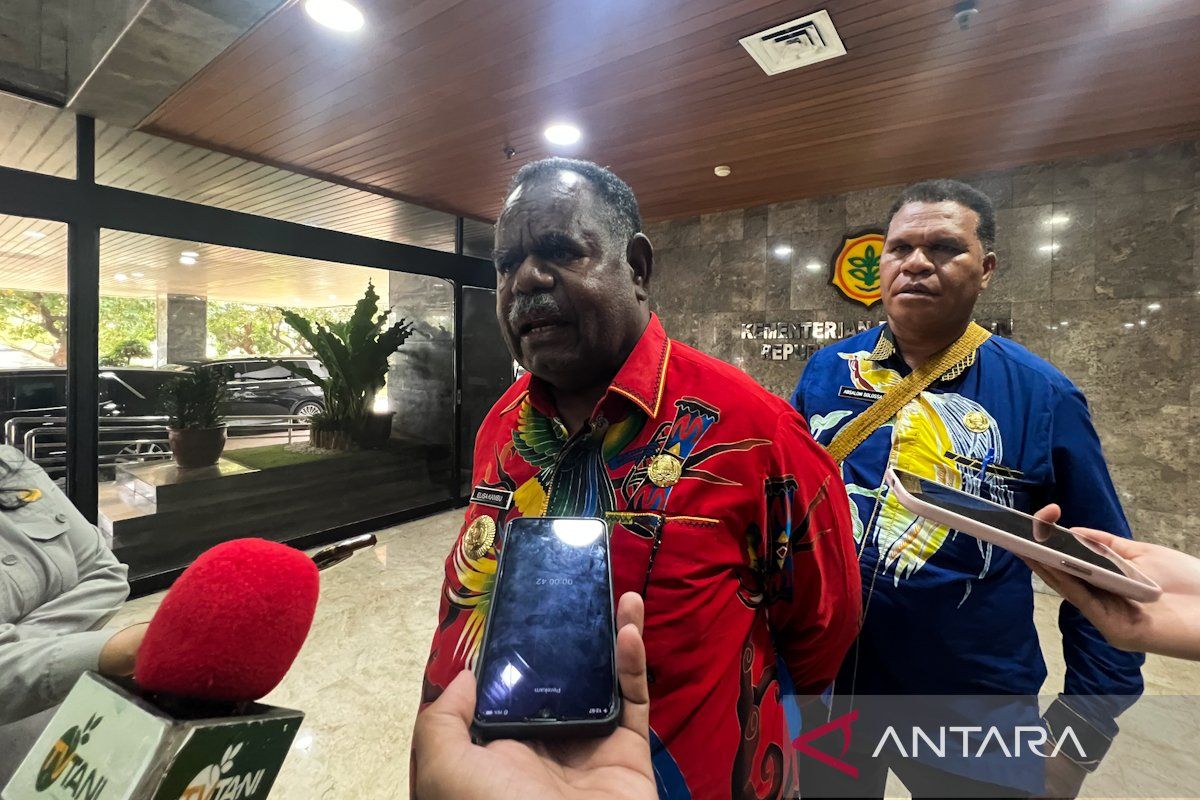 Elisa Kambu: Pengurangan TKD tak hambat pertanian