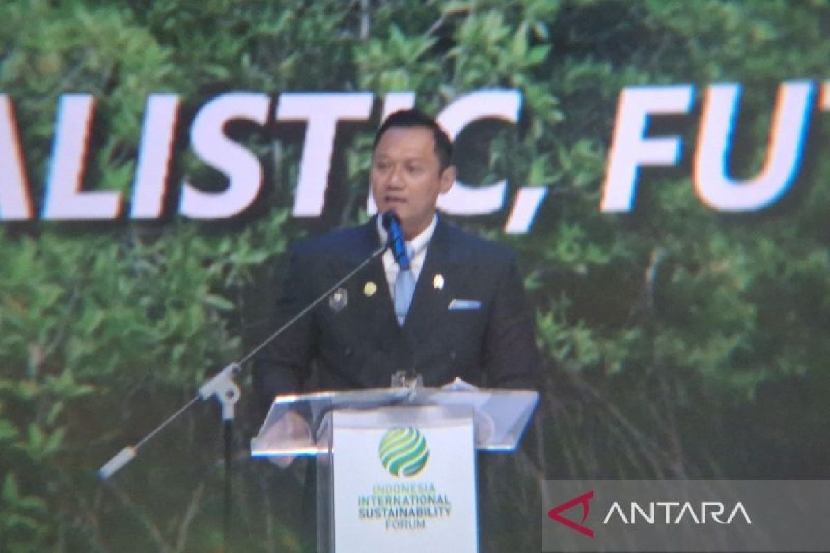Indonesia must pave its own path to achieve sustainability: Minister