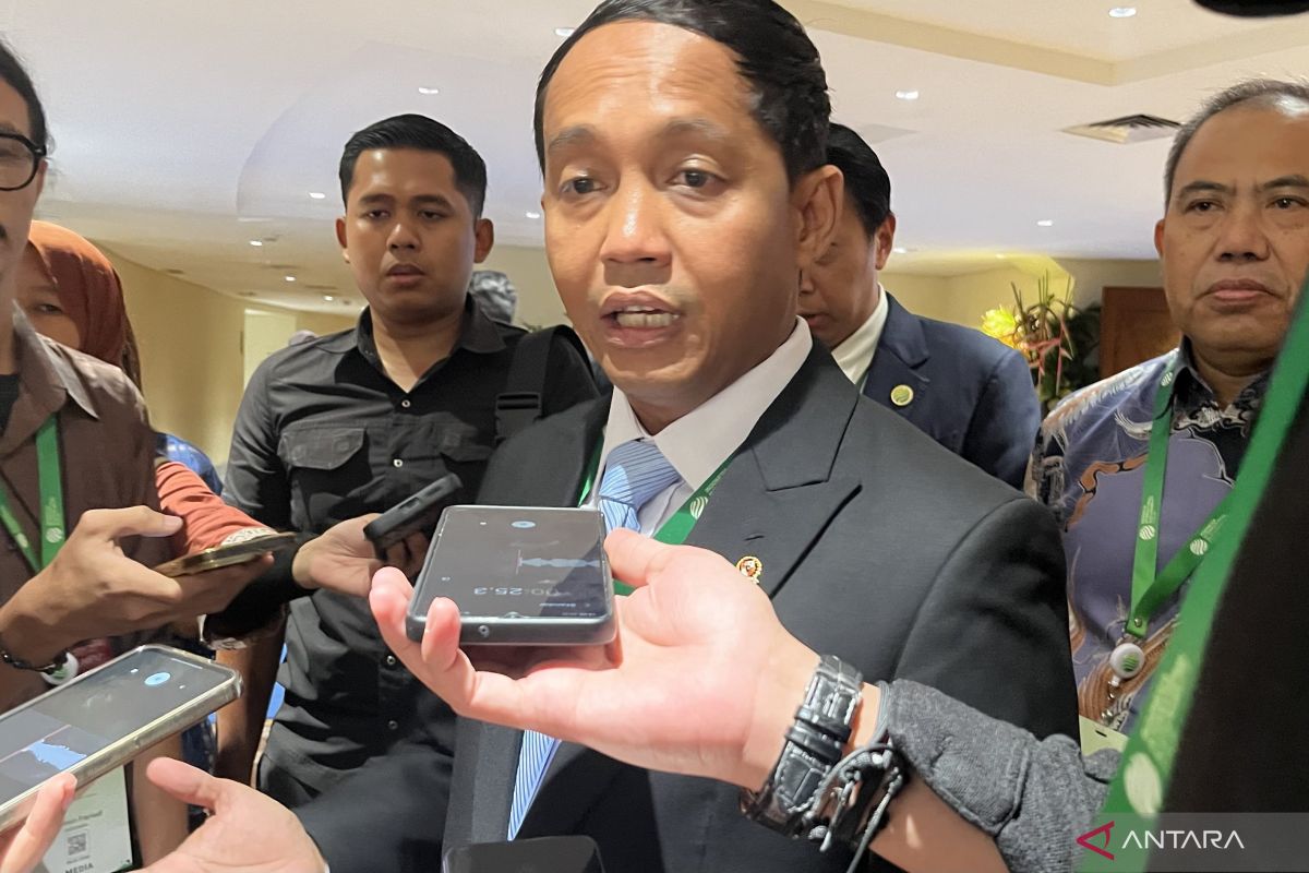 Indonesia aims to reforest 10 million hectares to boost carbon market