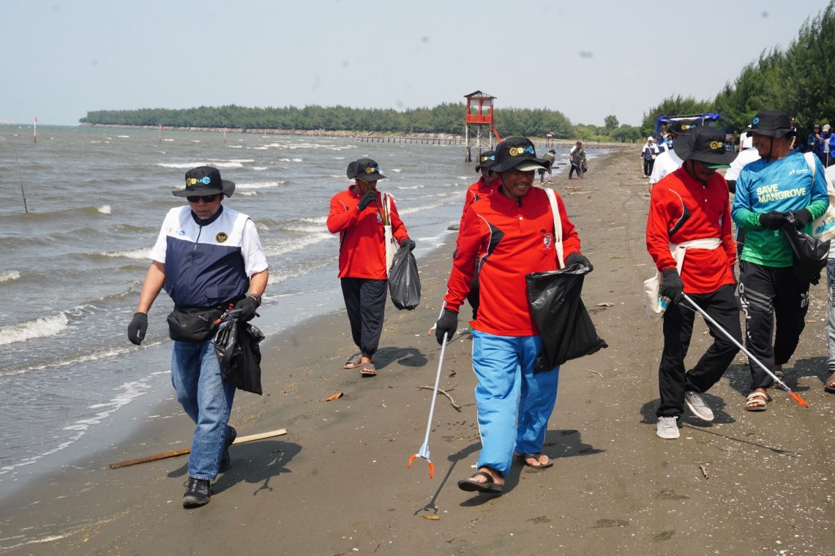 PLN Peduli lakukan upaya nyata pulihkan ekosistem Pantai Utara