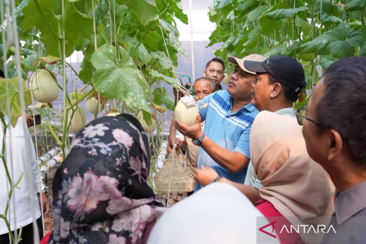 Jaktim gencarkan penghijauan